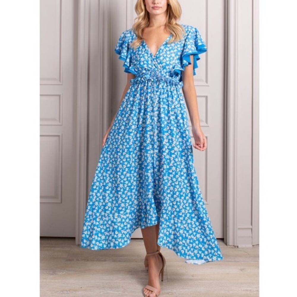 Senlis Amalie V Neck Ruffle Dress Bird Floral Print Size XS NWOT